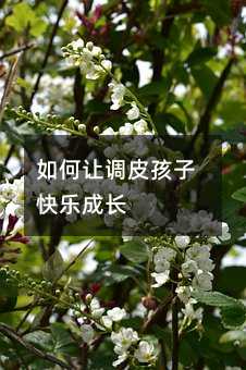 如何讓調皮孩子快樂成長