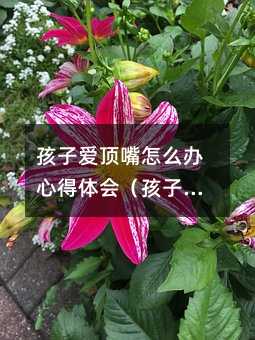Ӑôkĵw(hu)ӐôkL(zhng)ṇ