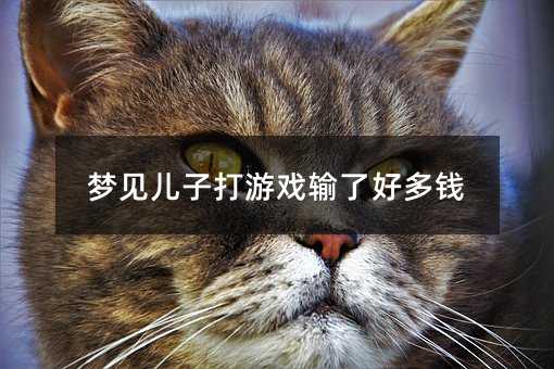 夢見兒子打游戲輸了好多錢
