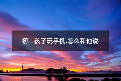 初二孩子玩手機,怎么和他說