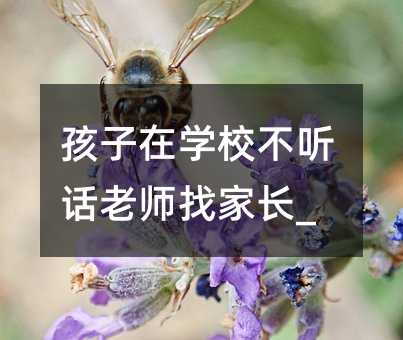 ڌWУ ԒώҼL_