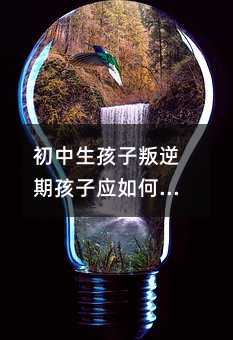 ںӑ(yng)ν