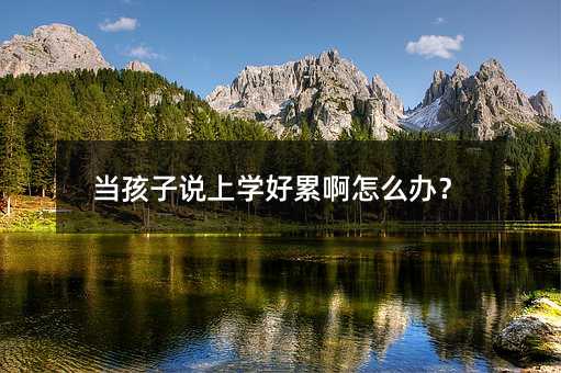 當孩子說上學好累啊怎么辦?