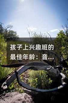 孩子上興趣班的最佳年齡:音樂類