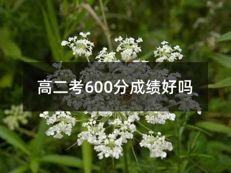 ߶600ֳɿÆ