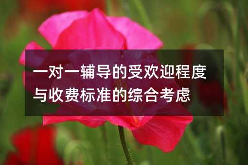 一對一輔導的受歡迎程度與收費標準的綜合考慮