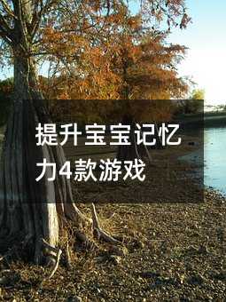 提升寶寶記憶力4款游戲