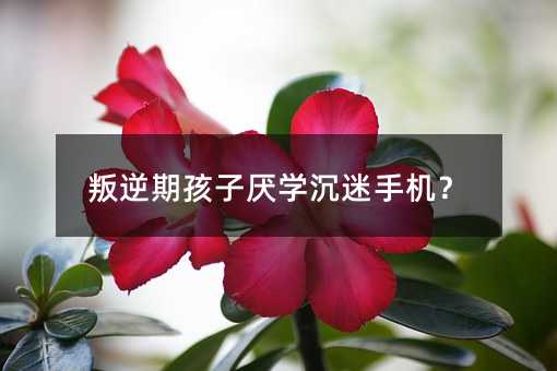 ںӅW֙C