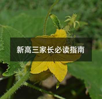 新高三家長必讀指南