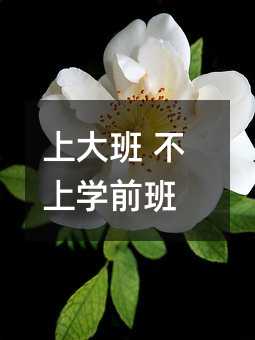 上大班 不上學前班