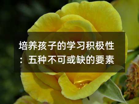 培養(yǎng)孩子的學(xué)習(xí)積極性:五種不可或缺的要素