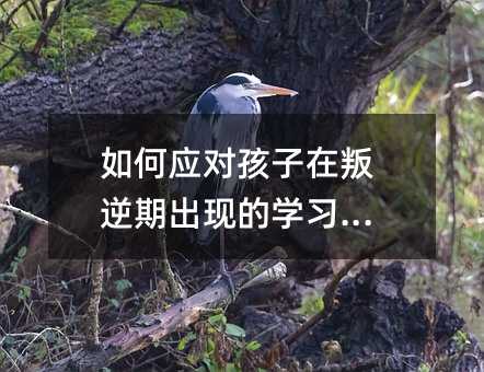 如何應(yīng)對(duì)孩子在叛逆期出現(xiàn)的學(xué)習(xí)問(wèn)題
