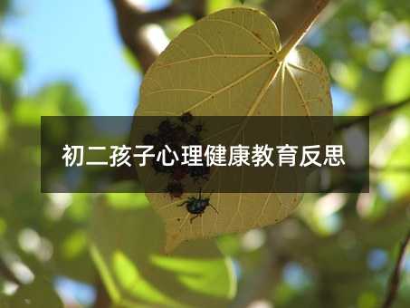 ˼