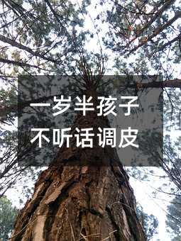 一歲半孩子不聽話調(diào)皮