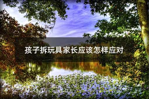 孩子拆玩具家長應該怎樣應對