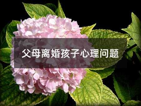ĸx麢톖}