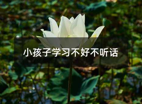 小孩子學習不好不聽話