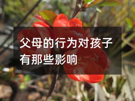 父母的行為對(duì)孩子有那些影響