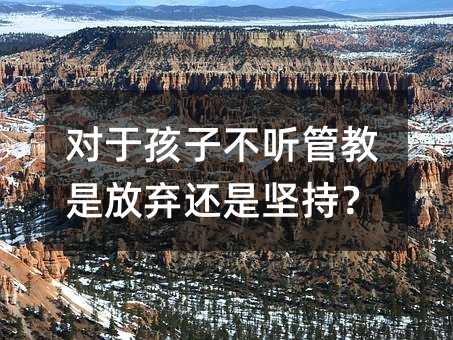 對(duì)于孩子不聽(tīng)管教是放棄還是堅(jiān)持?