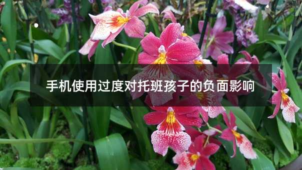 手機(jī)使用過度對(duì)托班孩子的負(fù)面影響