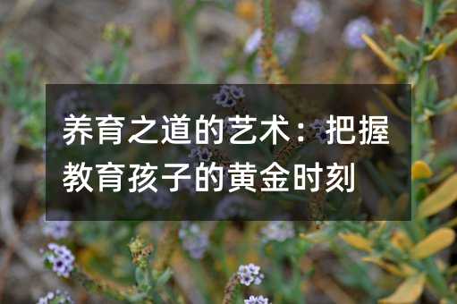 養(yǎng)育之道的藝術:把握教育孩子的黃金時刻