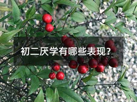 初二厭學有哪些表現(xiàn)?