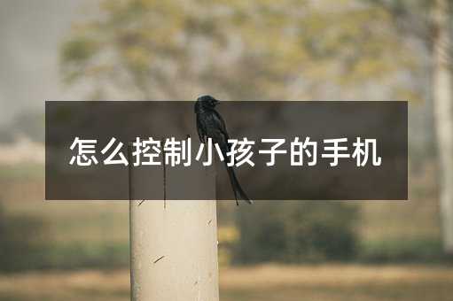 怎么控制小孩子的手機