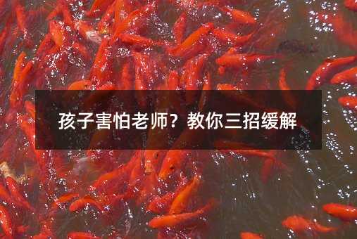 孩子害怕老師?教你三招緩解