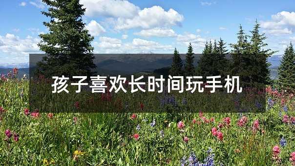 孩子喜歡長時間玩手機