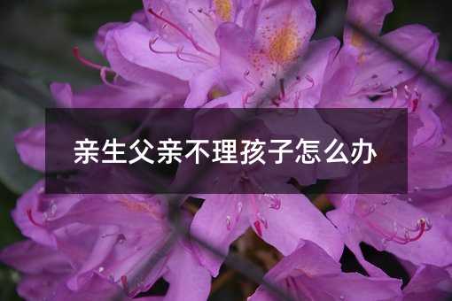 親生父親不理孩子怎么辦