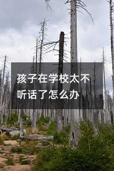 ڌWУ̫ Ԓôk