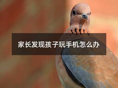 L(zhng)l(f)F(xin)֙C(j)ôk