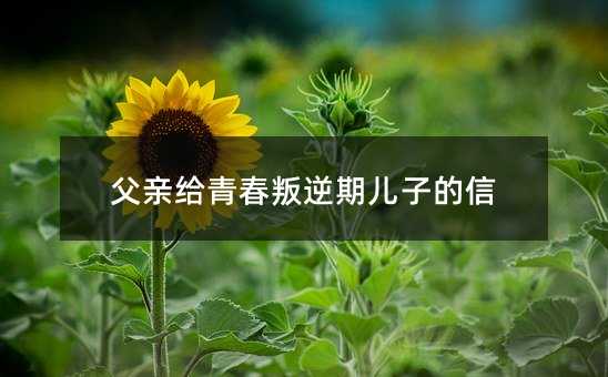 父親給青春叛逆期兒子的信