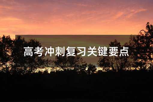 高考沖刺復習關鍵要點
