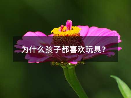 為什么孩子都喜歡玩具?