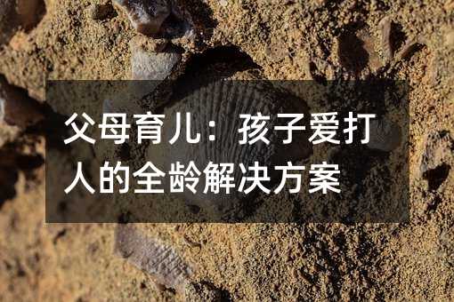 父母育兒:孩子愛打人的全齡解決方案