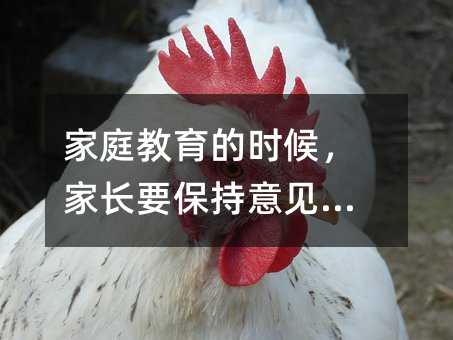家庭教育的時(shí)候,家長(zhǎng)要保持意見(jiàn)一致