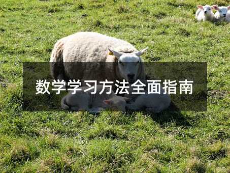 數學學習方法全面指南