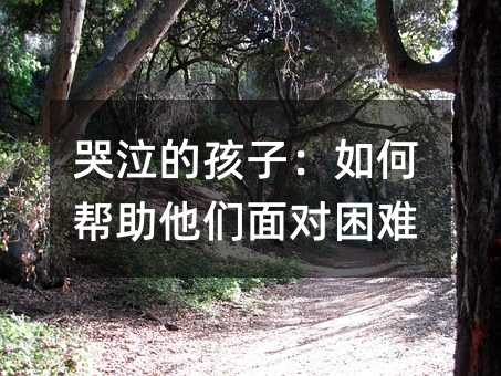 ĺӣΎ挦y