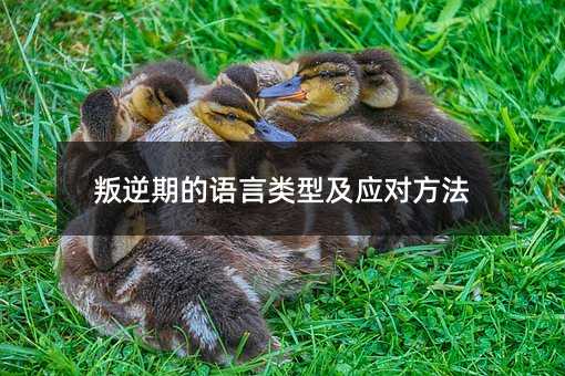 叛逆期的語言類型及應對方法