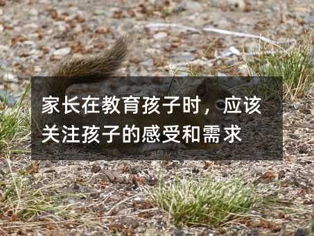 家長在教育孩子時,應該關注孩子的感受和需求