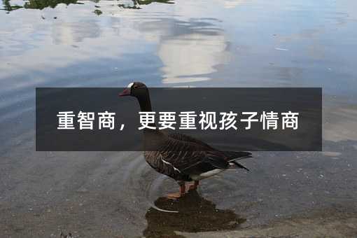 重智商,更要重視孩子情商