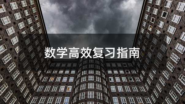 數(shù)學高效復習指南