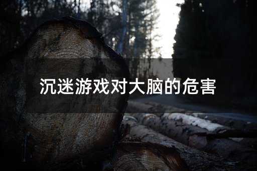 沉迷游戲對大腦的危害