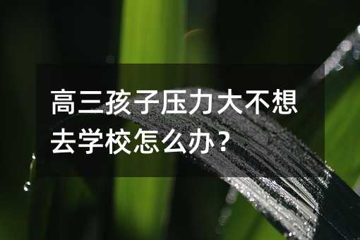 高三孩子壓力大不想去學(xué)校怎么辦?