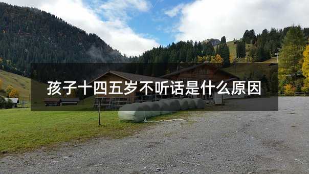 孩子十四五歲不聽話是什么原因