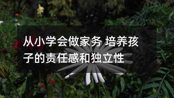 從小學會做家務 培養孩子的責任感和獨立性