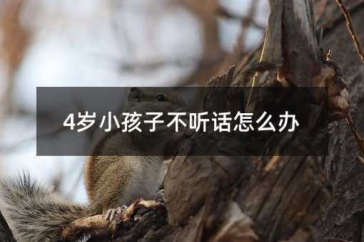 4歲小孩子不聽話怎么辦