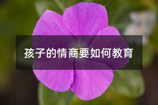 孩子的情商要如何教育