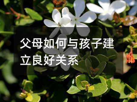 父母如何與孩子建立良好關(guān)系